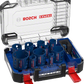 Bosch Professional Lochsäge ToughMaterial-Set 13tlg EXPERT (2608900447)