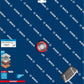 B-Ware Bosch Professional Expert MultiMaterial Diamanttrennscheiben, 300 x 22,23 x 2,8 x 15 mm (2608900664)