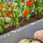 Gardena Micro-Drip-System Tropfbewässerung Set Terrasse (30 Pflanzen) (13400-20)