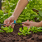 Gardena Micro-Drip-System Kleinflächendüse - Inhalt: 10 Kleinflächendüsen, 1 Verschlusskappe (13316-20)